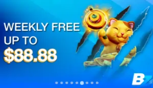 betzilla88