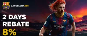 8%